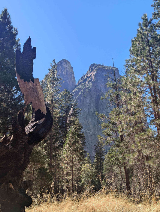 Scenic area of Yosemite National Park, Sierra Nevadas, California, USA