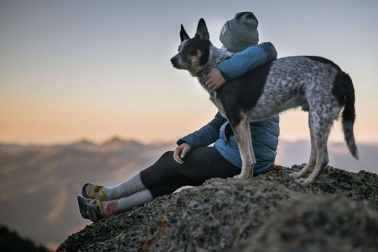 How to Hike Safely with Your Dog: The Ultimate Guide for Trail-Loving Pups